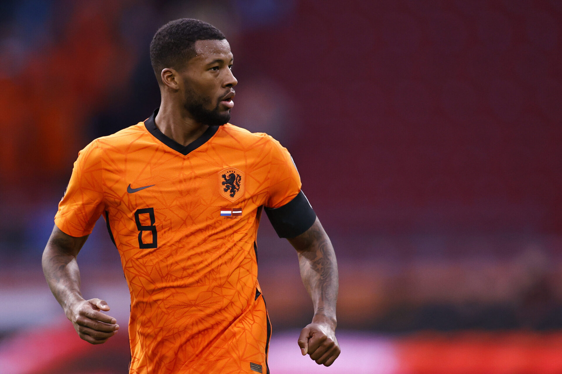 Wijnaldum jouera l'Euro avec les Pays-Bas avant de rejoindre le PSG (iconsport)