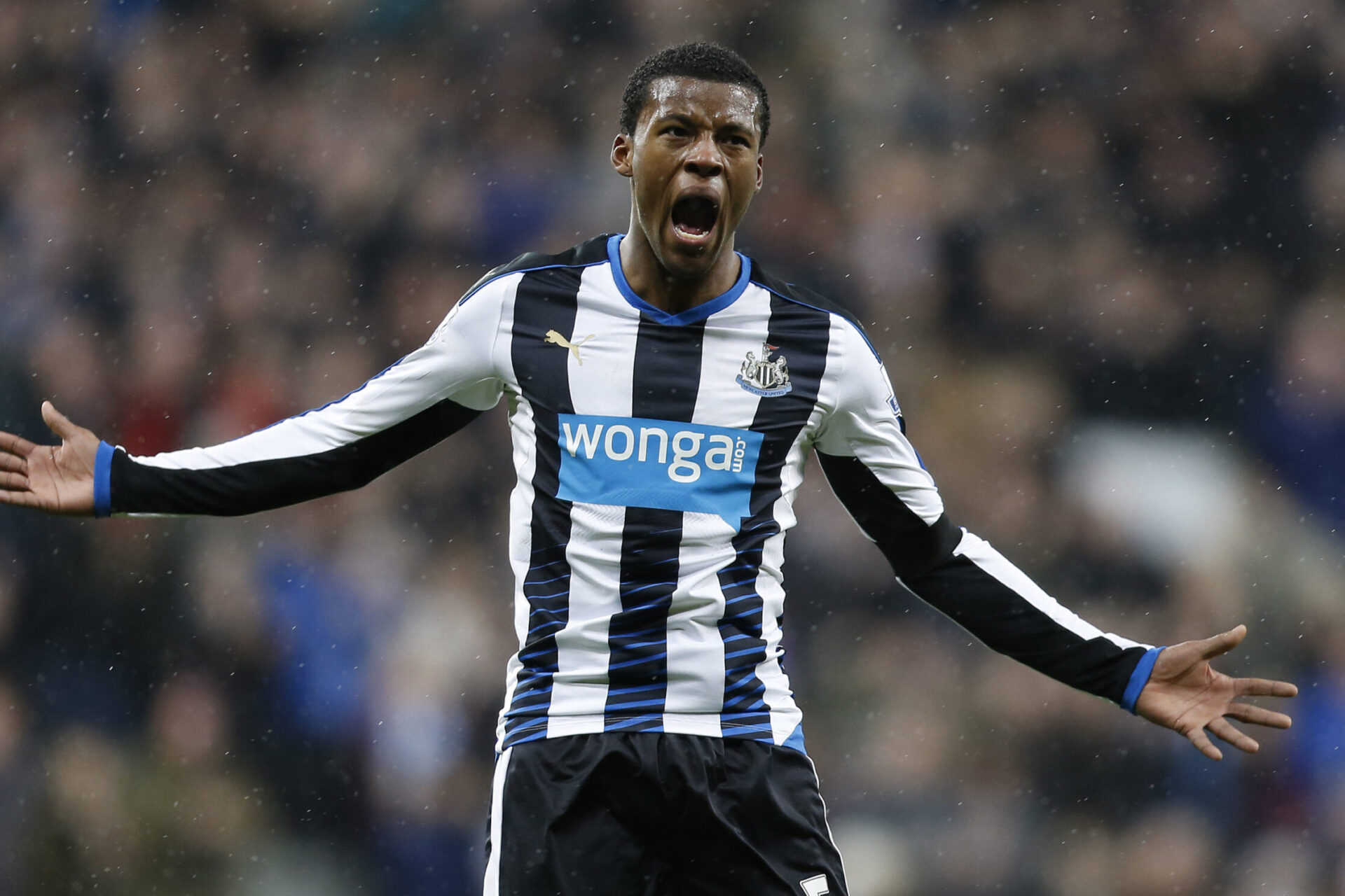 Georginio Wijnaldum jouant avec les Magpies (Icon Sport)