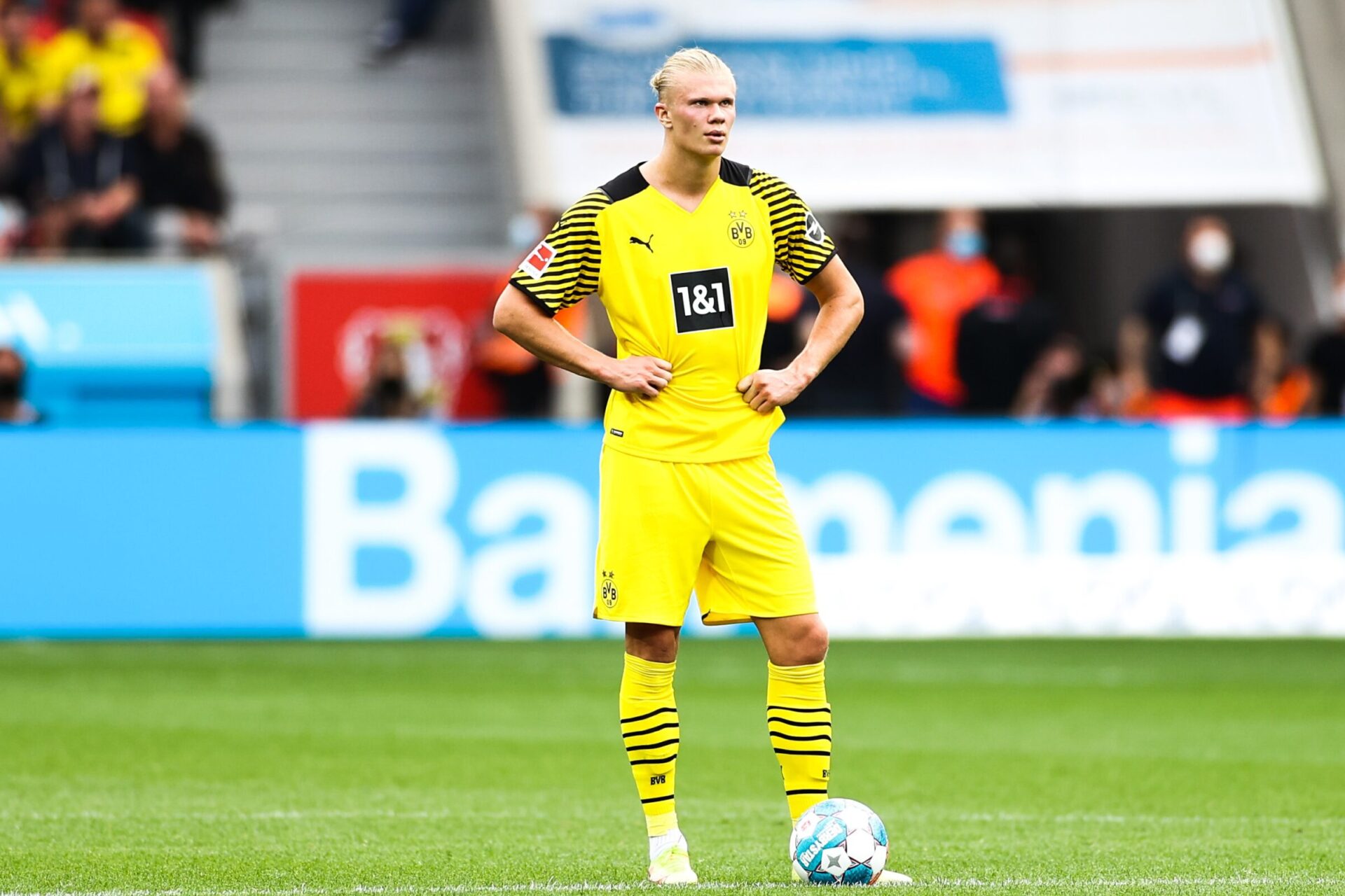 Haaland rêverait de jouer pour le Real Madrid (iconsport)