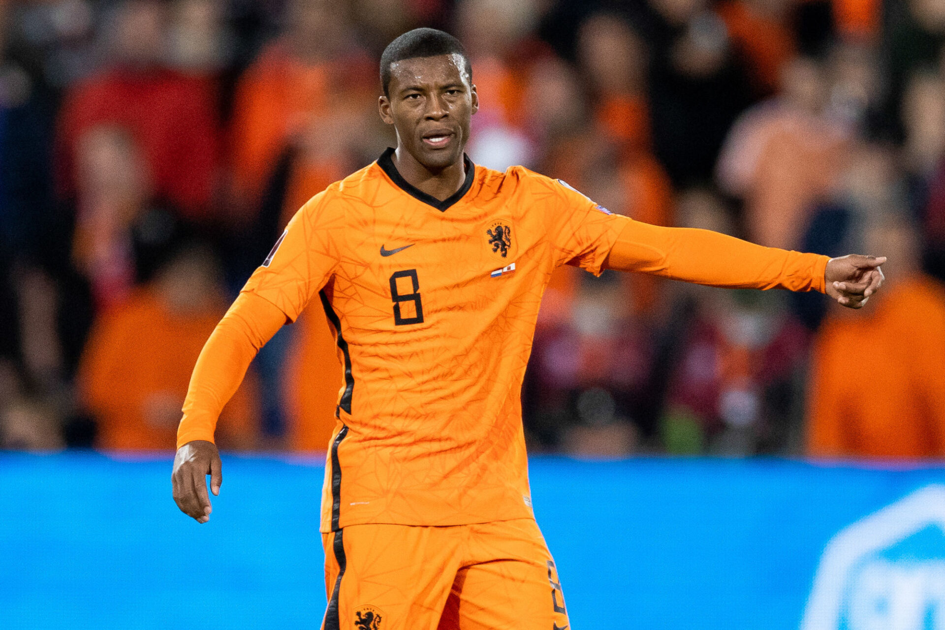 &Agrave; Bruges, pour son premier match de Ligue des champions avec Paris, Wijnaldum a &eacute;t&eacute; remplac&eacute; d&egrave;s le retour des vestiaires (iconsport)