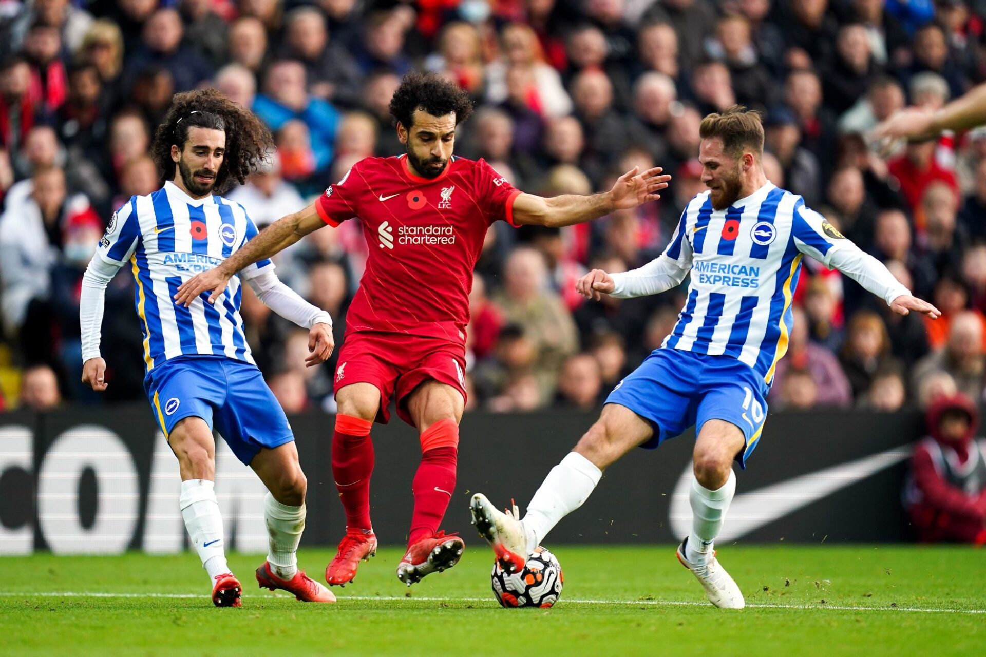 Cette fois, Mohamed Salah n'a pas marqué et Liverpool a été accroché par Brighton. Icon Sport