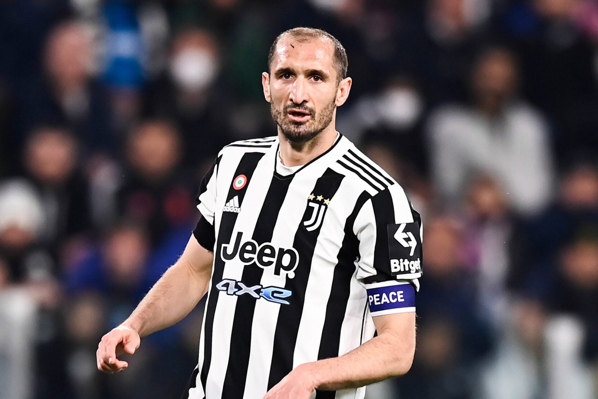 Chiellini a décidé de mettre un terme à sa carrière en sélection (iconsport) Chiellini a décidé de mettre un terme à sa carrière en sélection (iconsport)