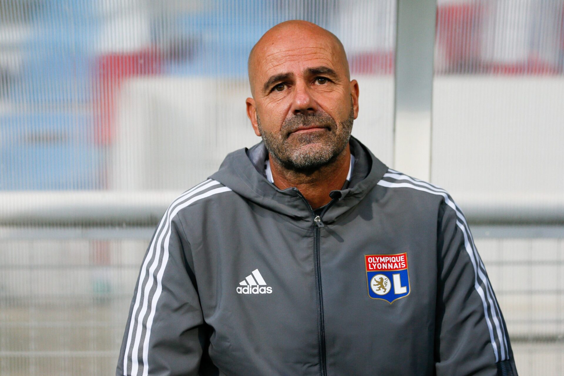 Peter Bosz scrute Malacia depuis des années / Icon Sport Peter Bosz scrute Malacia depuis des années / Icon Sport