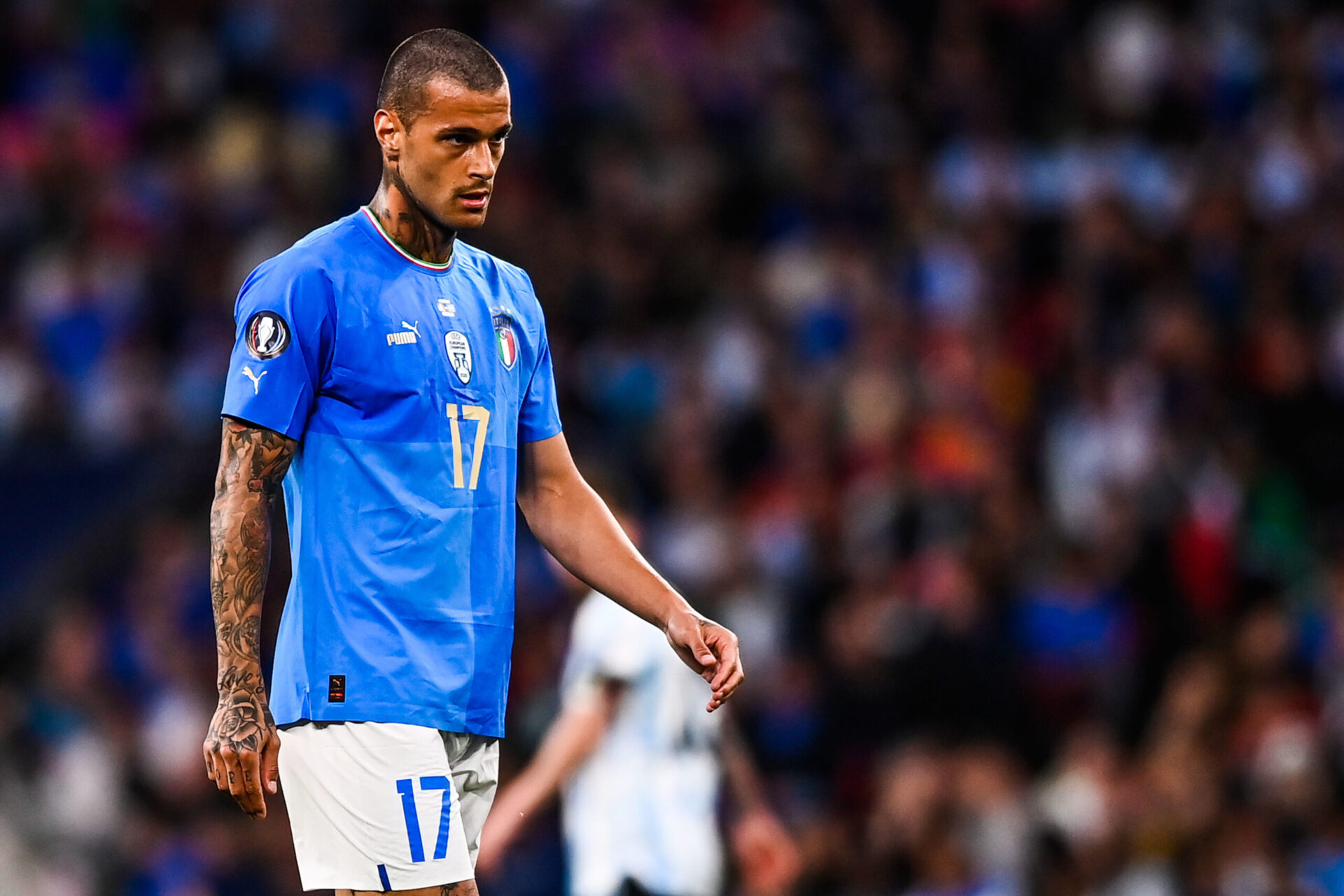 Scamacca est d&eacute;sormais un attaquant international / Iconsport