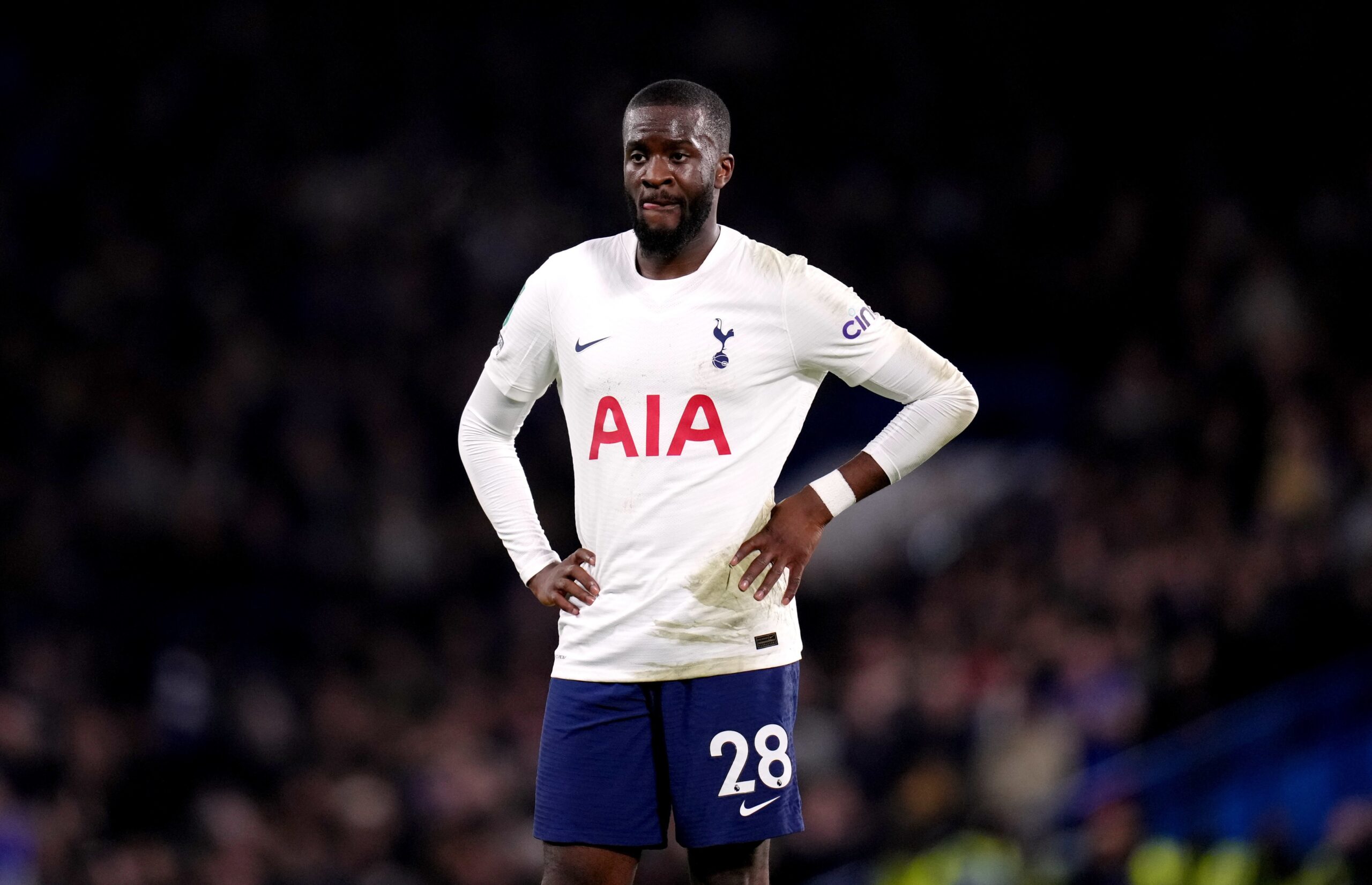 Tanguy Ndombélé sous les couleurs de Tottenham (iconsport)