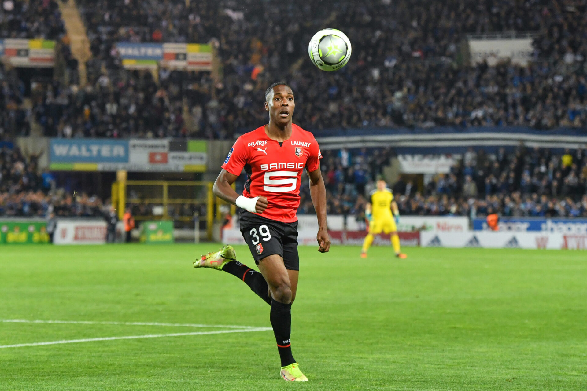 Mathys Tel sous les couleurs du Stade Rennais (Icon Sport)