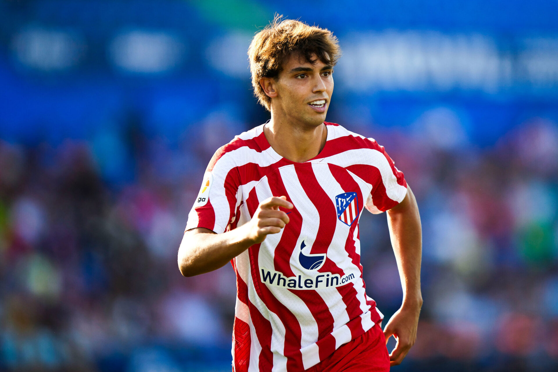 João Félix, l'attaquant de l'Atlético de Madrid. (Icon sport) João Félix, l'attaquant de l'Atlético de Madrid. (Icon sport)