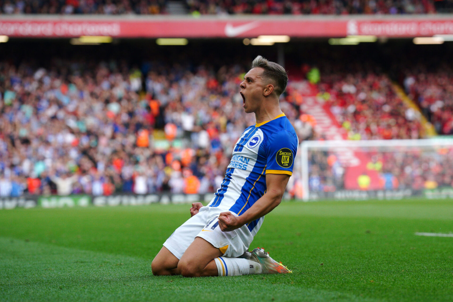 Leandro Trossard fait sensation cette saison en Premier League. (Icon Sport) Leandro Trossard fait sensation cette saison en Premier League. (Icon Sport)
