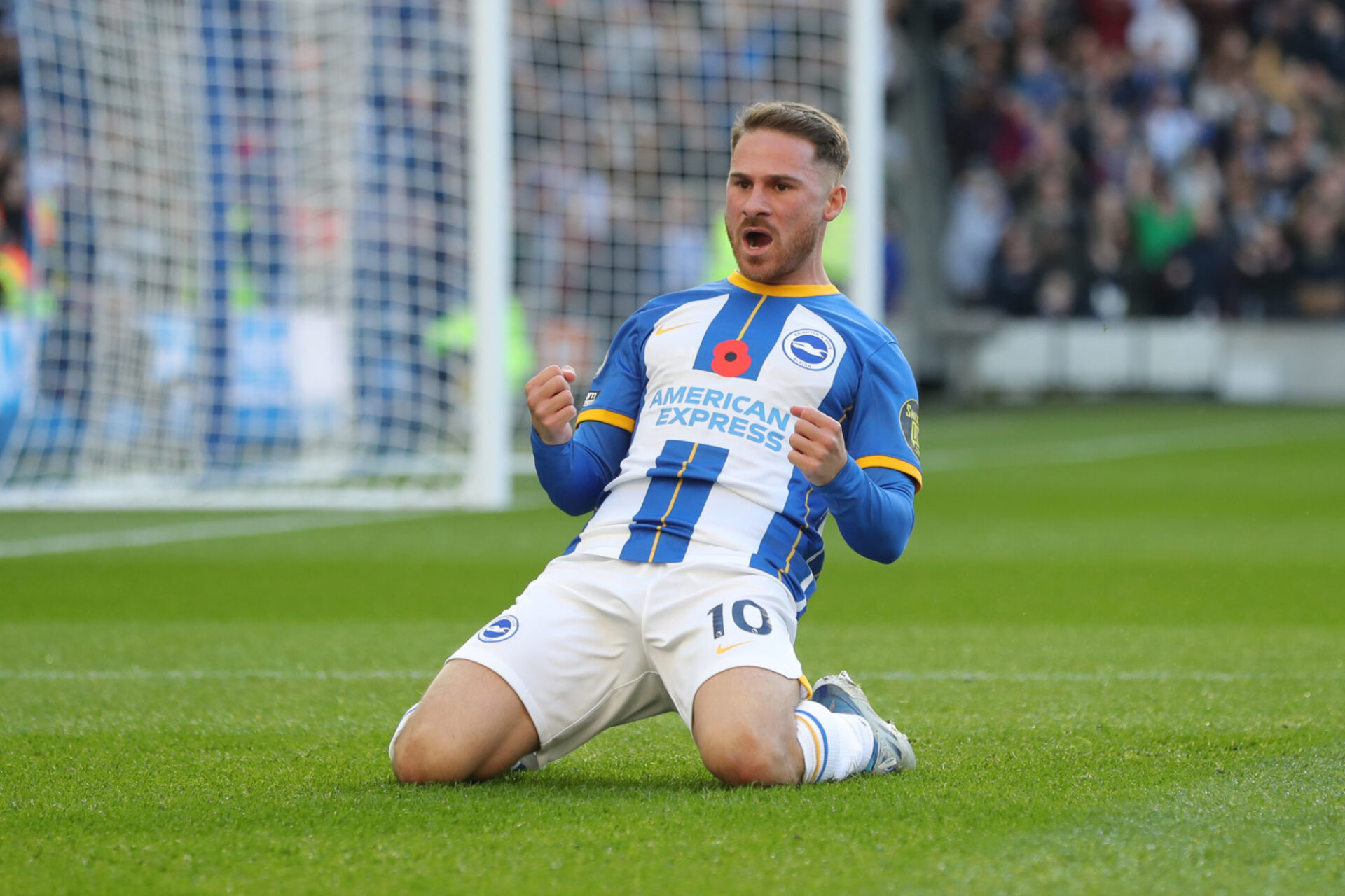 Alexis Mac Allister c&eacute;l&eacute;brant un but avec Brighton. (Icon Sport)
