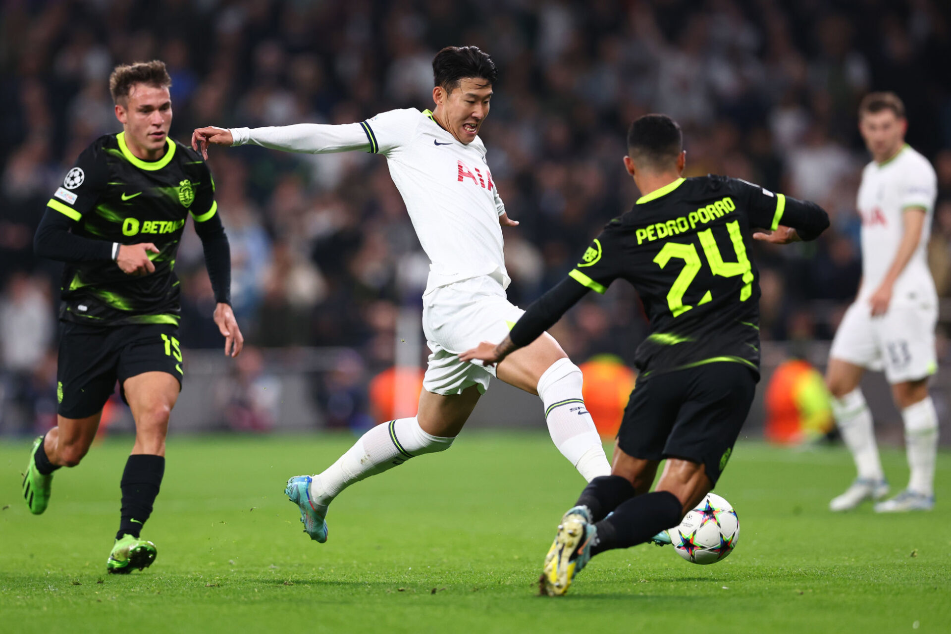 Pedro Porro avait impressionné les dirigeants de Tottenham en Ligue des Champions (Icon Sport) Pedro Porro avait impressionné les dirigeants de Tottenham en Ligue des Champions (Icon Sport)