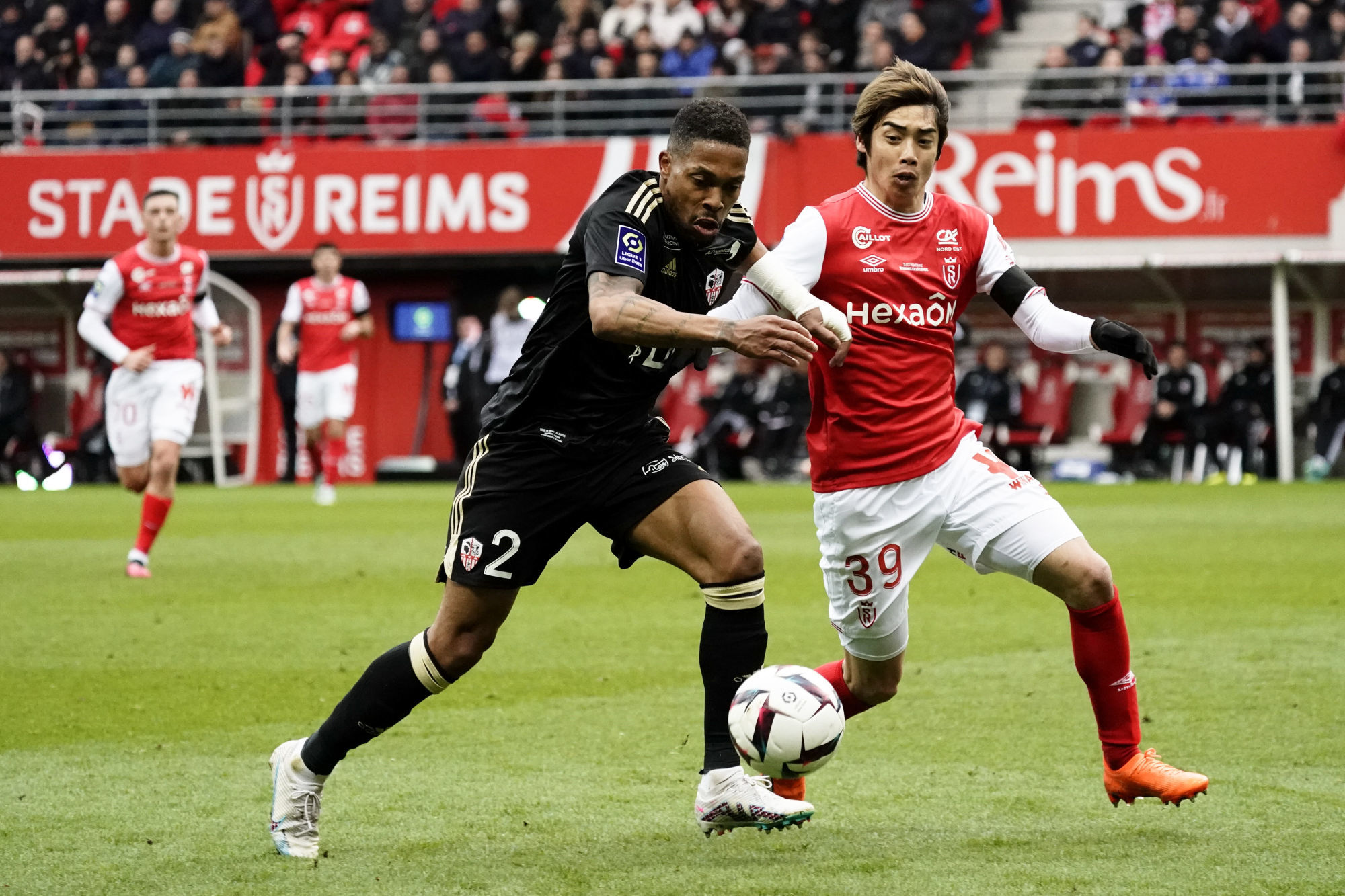 L'AC Ajaccio a tenu tête à Reims lors de la 26ème journée de L1 (Icon Sport) L'AC Ajaccio a tenu tête à Reims lors de la 26ème journée de L1 (Icon Sport)
