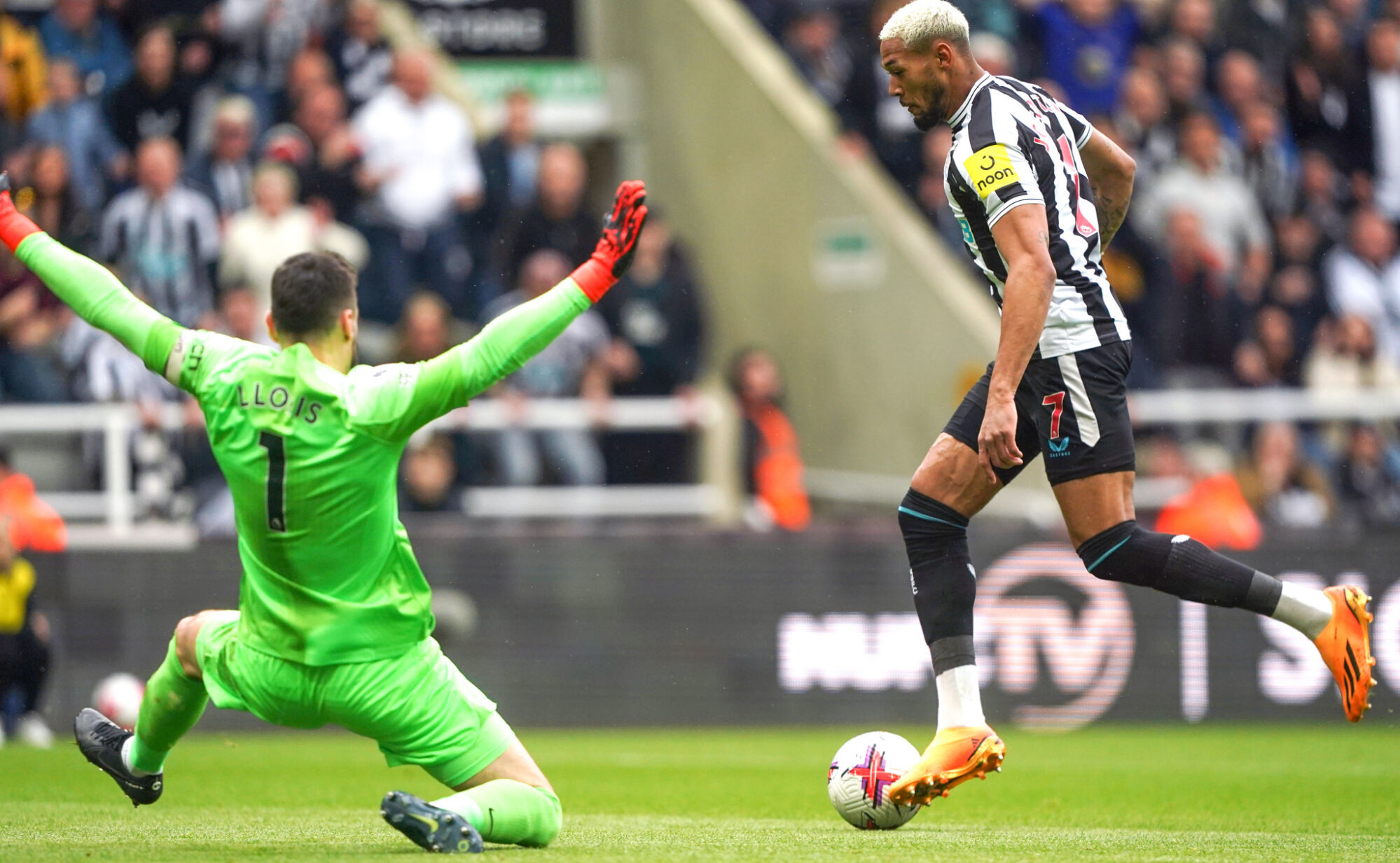Joelinton a inscrit le deuxi&egrave;me but de Newcastle contre Tottenham. (Icon Sport)