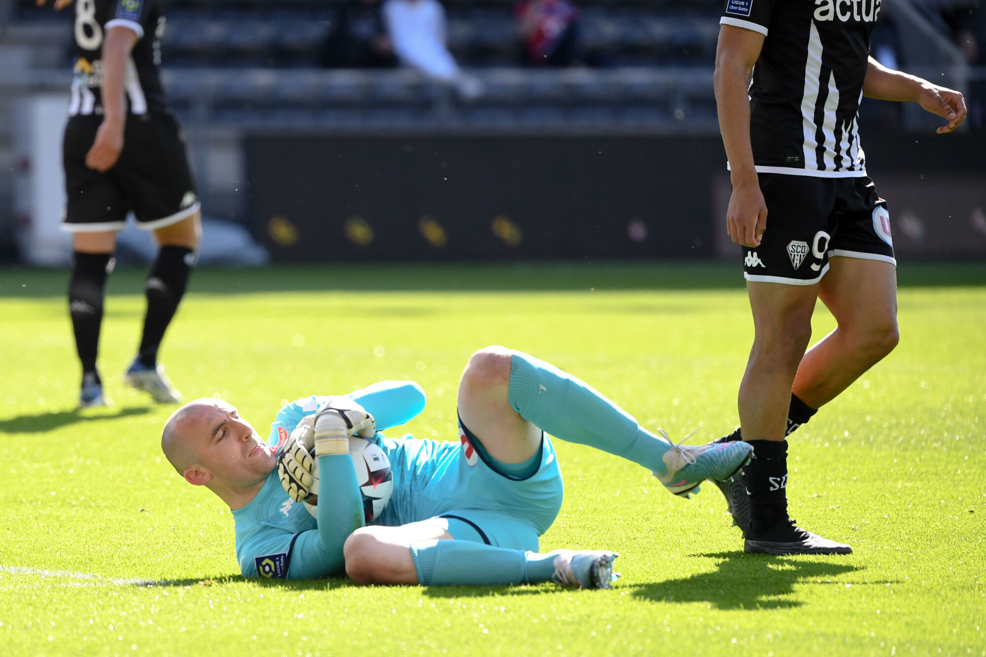 Paul Bernardoni, gardien d'Angers. (IconSport)